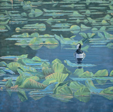 Monet's merganser
