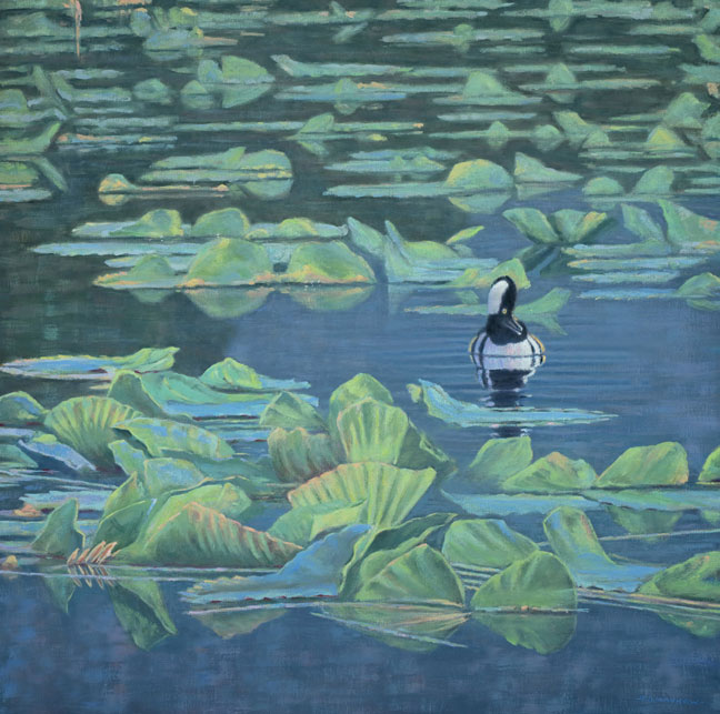 Monet's merganser