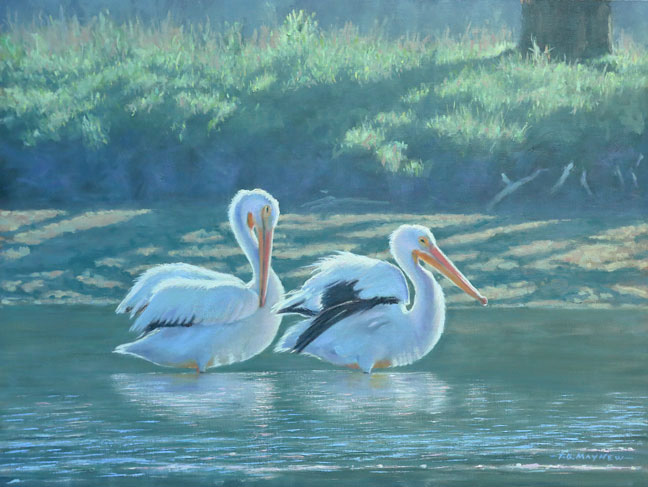 Pelican Valley