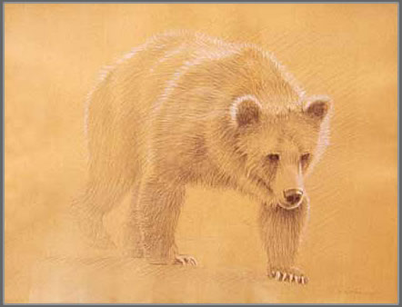 Study of a Grizzly Bear's Stride
