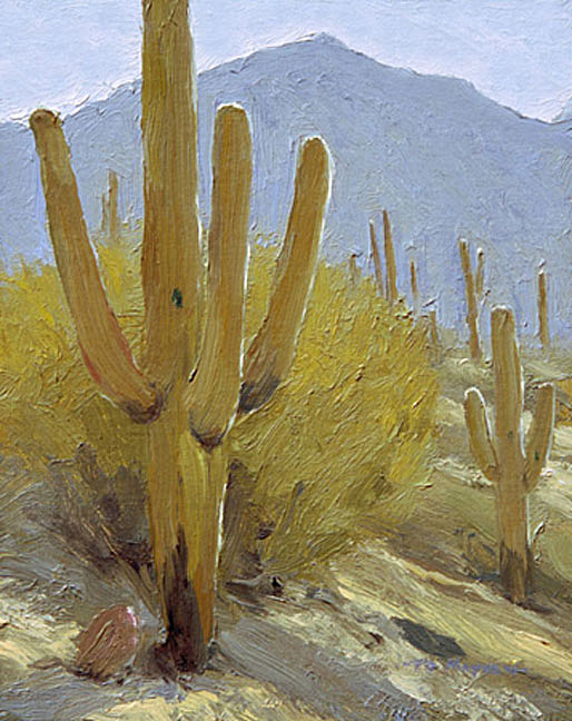 Saguaros of Honeybee Canyon